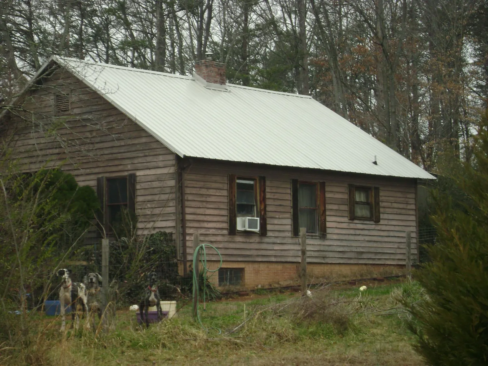 White metal roof on an old wood sided farmhouse, from a Asphalt Shingle Roof Repair job in Athens